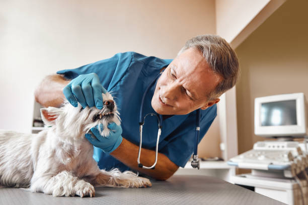 Best Root Canal Emergency Dentist  in Trophy Clu, TX